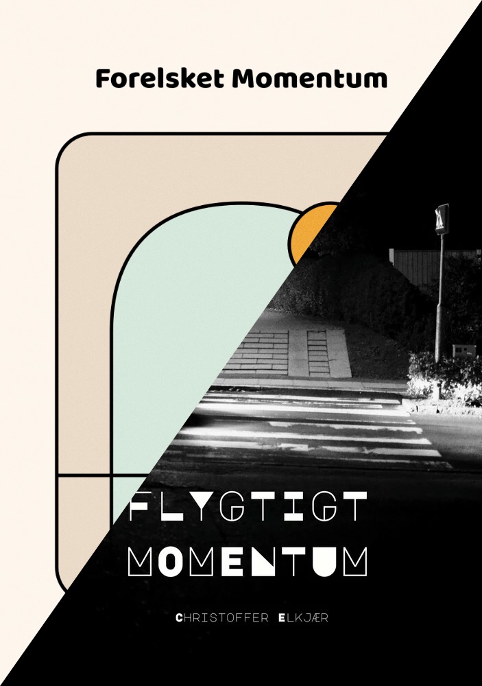 Flygtigt og Forelsket Momentum bogcover